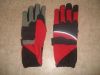 Kart Racing Gloves