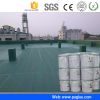 China best polyurethane waterproofing coating raw material