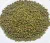 Myanmar Bean (unpolish...