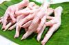 Processed Grade A Halal Chicken Feet