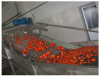 TOMATO PASTE PLANT/MACHINERY