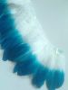 Dyed Goose Feathers Fr...