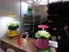 indoor hydroponics digital kits
