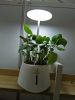 Green.pet flower pots smart garden