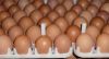 Buy Cheap Broiler Hatching Eggs Cobb 500 and Ross 308