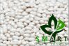 Smart Agro Invest LLC ...