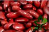 Smart Agro Invest LLC ...