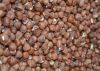 Organic Hazelnuts