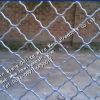 Beautiful Grid Wire Mesh