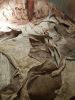 Dry salted Donkey Hide