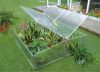 Plant Cold frame greenhouse garden shades