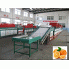 orange cleaning and wa...