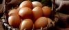 Farm Fresh Chicken Brown & White Table Eggs