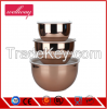 copper painting Stainless Steel Mixing Bowl with plastic lid