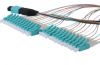  MPO/MTP Fiber Optic P...