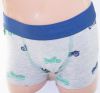 Boy fashion underwear brief