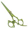 Professional Hair Cutting Barber Scissors