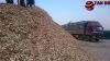 WOOD CHIPS