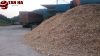 WOOD CHIPS