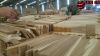 S4S SAWN TIMBER