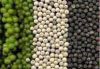 Black Pepper