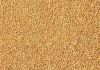 Best Quality Yellow Millet