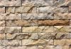 Cultured Stone & Mushroom Stone