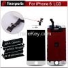 Best Price Wholesale F...