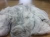 English Angora Rabbit Fur