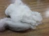 English Angora Rabbit Fur