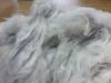 English Angora Rabbit Fur