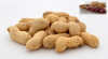 Groundnut Kernel (Raw ...