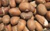 Agro products exportation