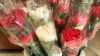 carnation flowers