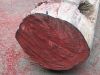 Madagascar Rosewood lo...