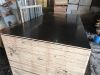 film faced plywood/shuttering board/construction board