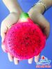 DRAGON FRUIT - PURPLE FLESH