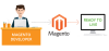 eCommerce Web Site Dev...