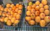 Fresh Spanish Murcott ...