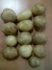 Quality Potatoes By Wholesale - For Export