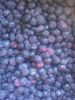 IQF Frozen Bilberry / ...