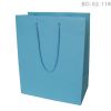 Export Gloss/Matt  paper Carrier bag