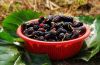 Mulberry Fruit Extract