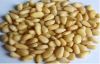Siberian Pine Nuts Ker...