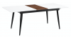 Modern, Expandable Dining Table