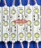 LED MODULE