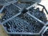 Charcoal briquettes fr...