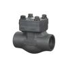 Check Valve