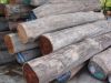 TEAK WOOD
