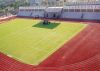 Excellent Elastic Performance Plastic Synthetic Sports Athletic Running Track or Run-Way for Wholesale with Good Price